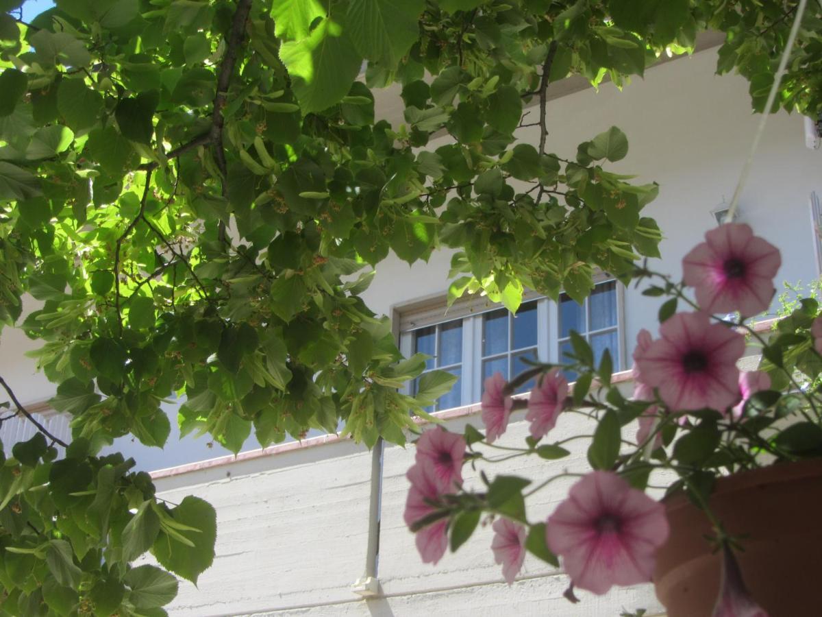 B&B Il Country E Il Mare Martinsicuro Luaran gambar